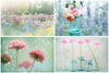 Summer Garden