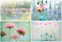 Summer Garden