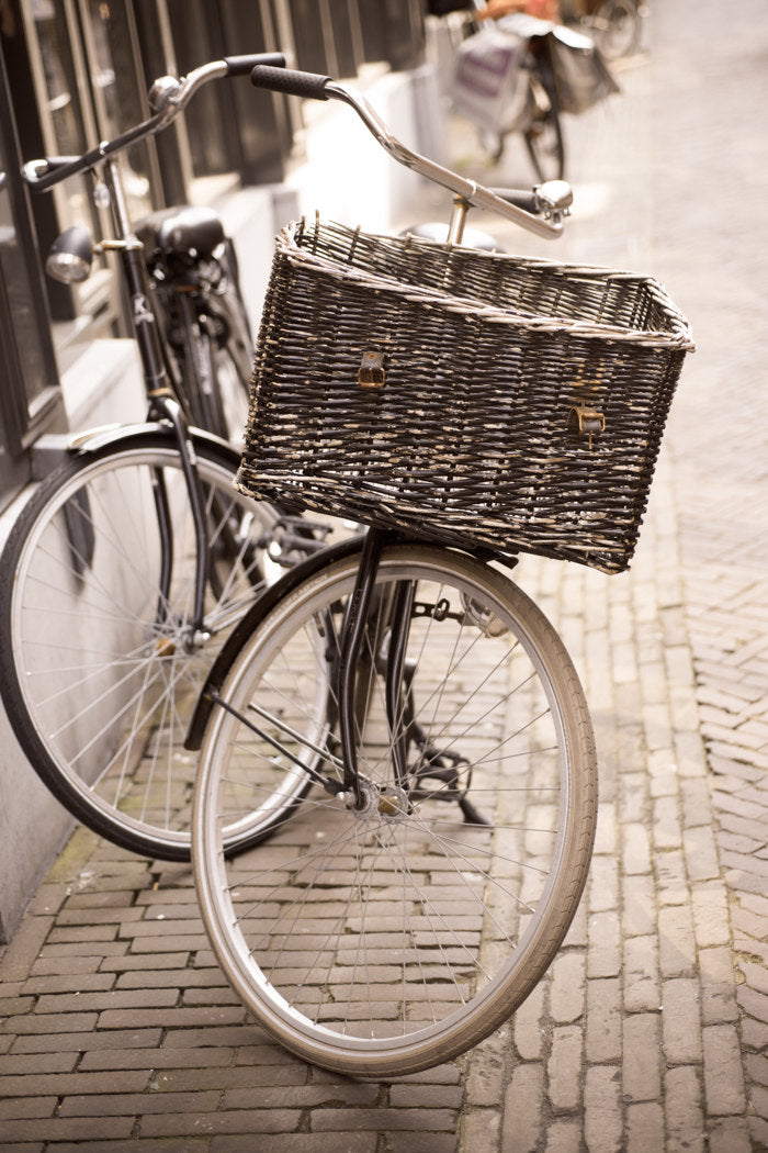 The Bicycle