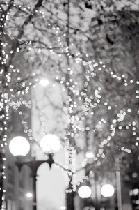 Twinkle Lights, Black and White