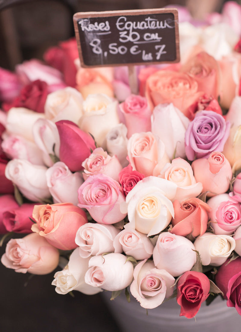 Mauve and Peach Roses, Paris