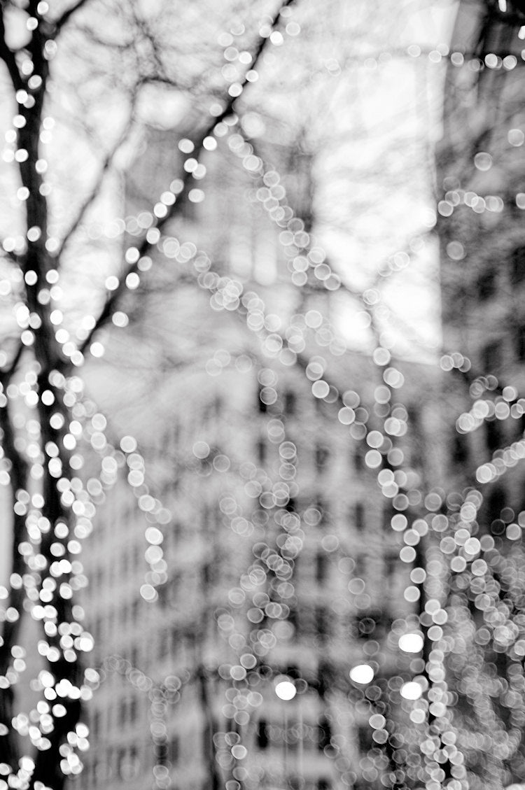 City Lights