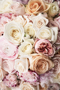 Paris in Mauve Photography Set