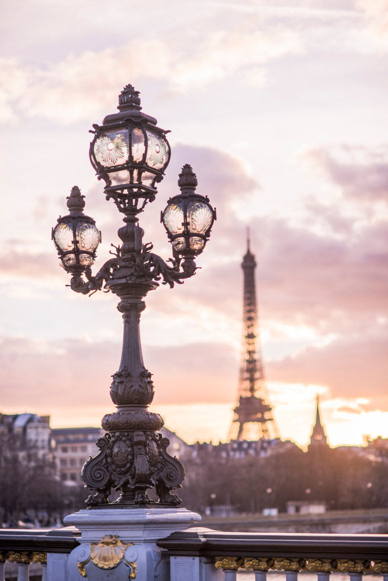 Paris in Mauve Photography Set