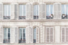 Windows and Shutters
