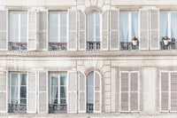 Windows and Shutters