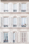 Windows and Shutters
