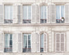 Windows and Shutters