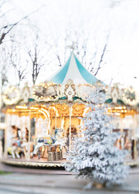 Winter Carousel in Paris