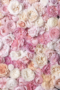 Bed of Roses III